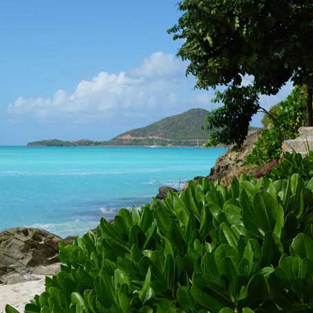Voyage à Antigua : Plage de rêve sur l'île d'Antigua aux Caraïbes