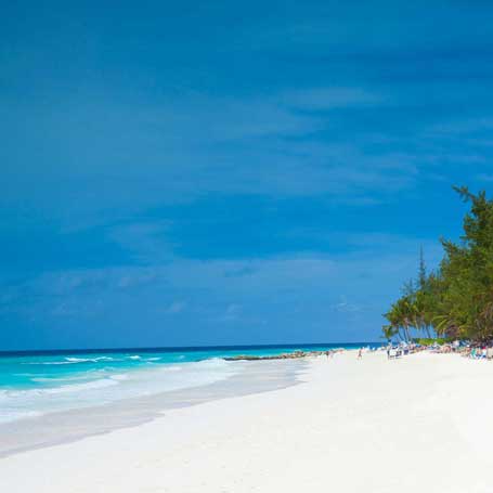 Voyage à la Barbade : Plage de sable blanc sur l'île de la Barbade aux Caraïbes