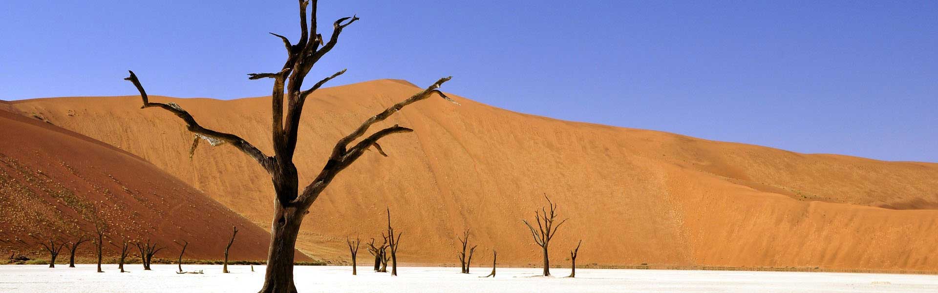 Voyage en Namibie : Dead Vlei cuvette argileuse du salar de Sossusvlei dans le désert du Namib.