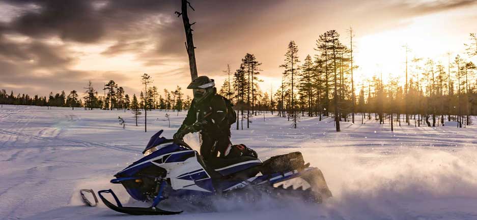 Voyage en Laponie : Randonnée en motoneige au cœur de la fascinante nature lapone